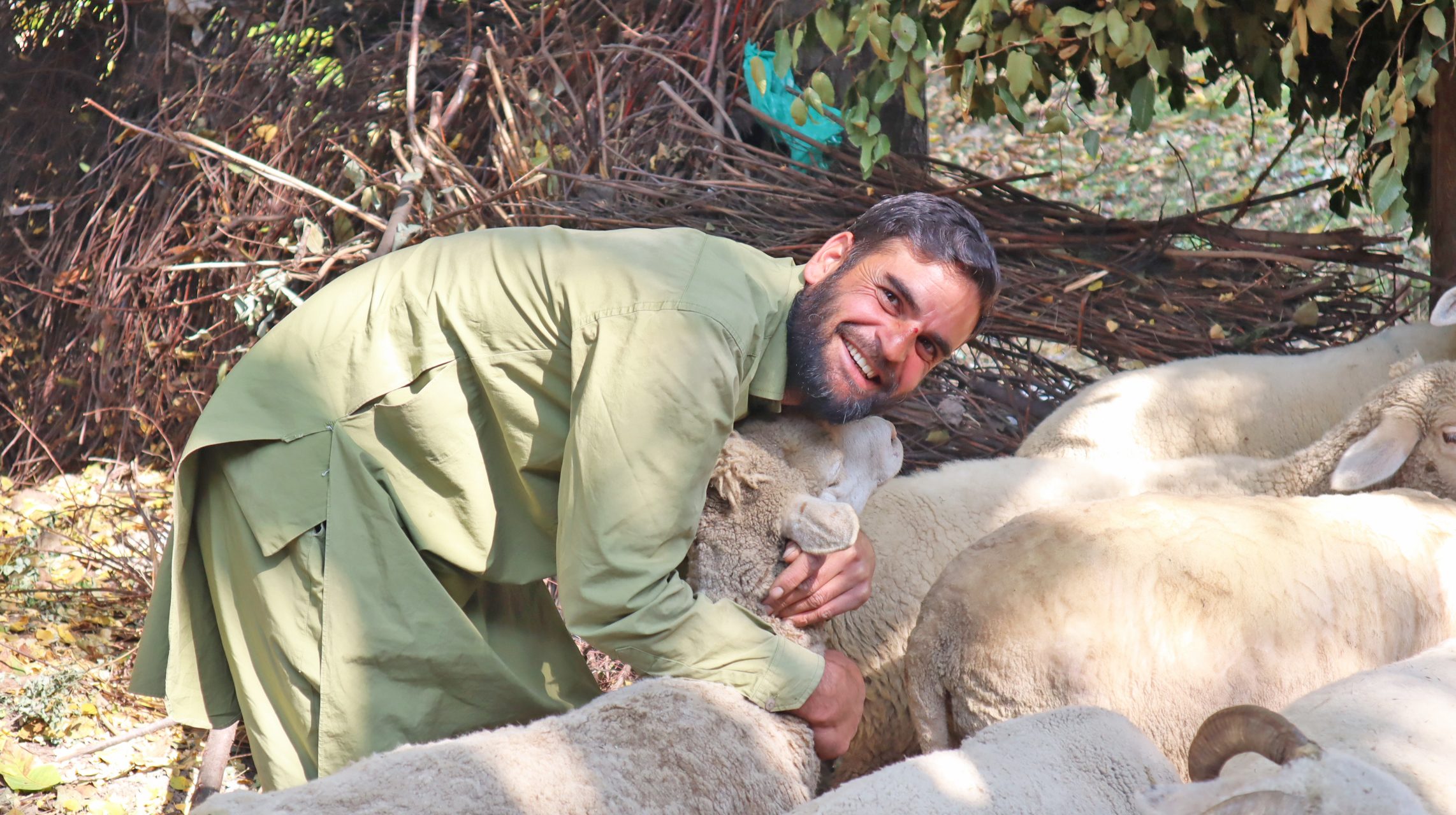 Lorem ipsum dolor sit amet, consectetur adipiscing elit